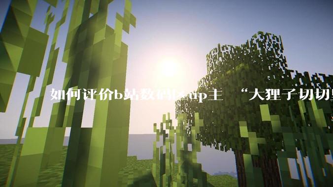 如何评价b站数码区up主 “大狸子切切里”?