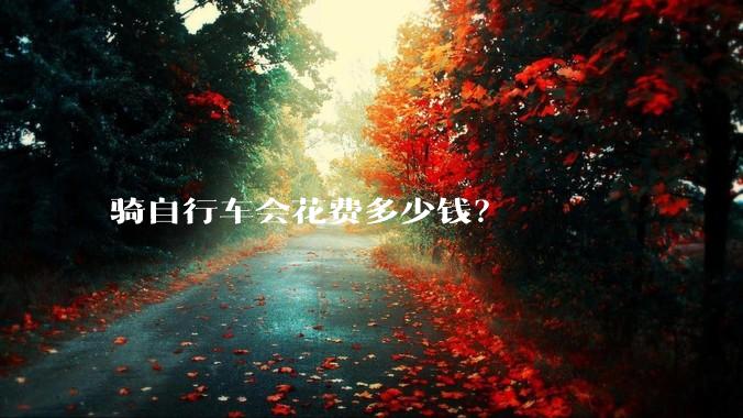 骑自行车会花费多少钱？