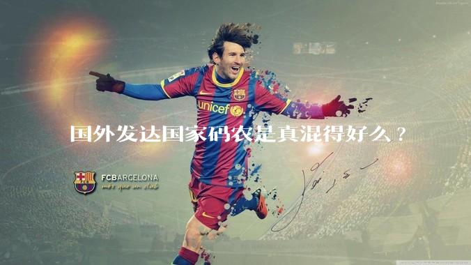 国外发达国家码农是真混得好么?