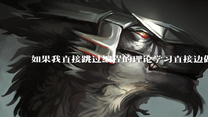 如果我直接跳过编程的理论学习直接边做一些小项目边学可以学会编程这个技能吗？能够用来工作吗？